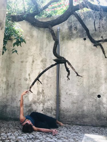 butoh-tree